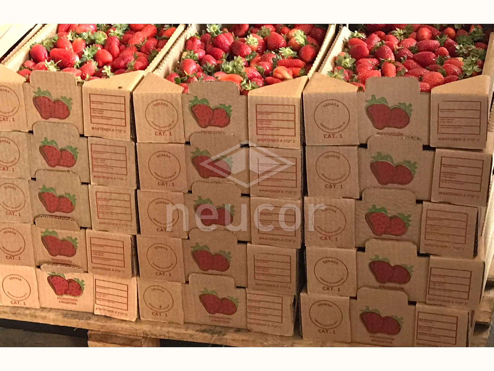 Fruticultura — ejemplo 2