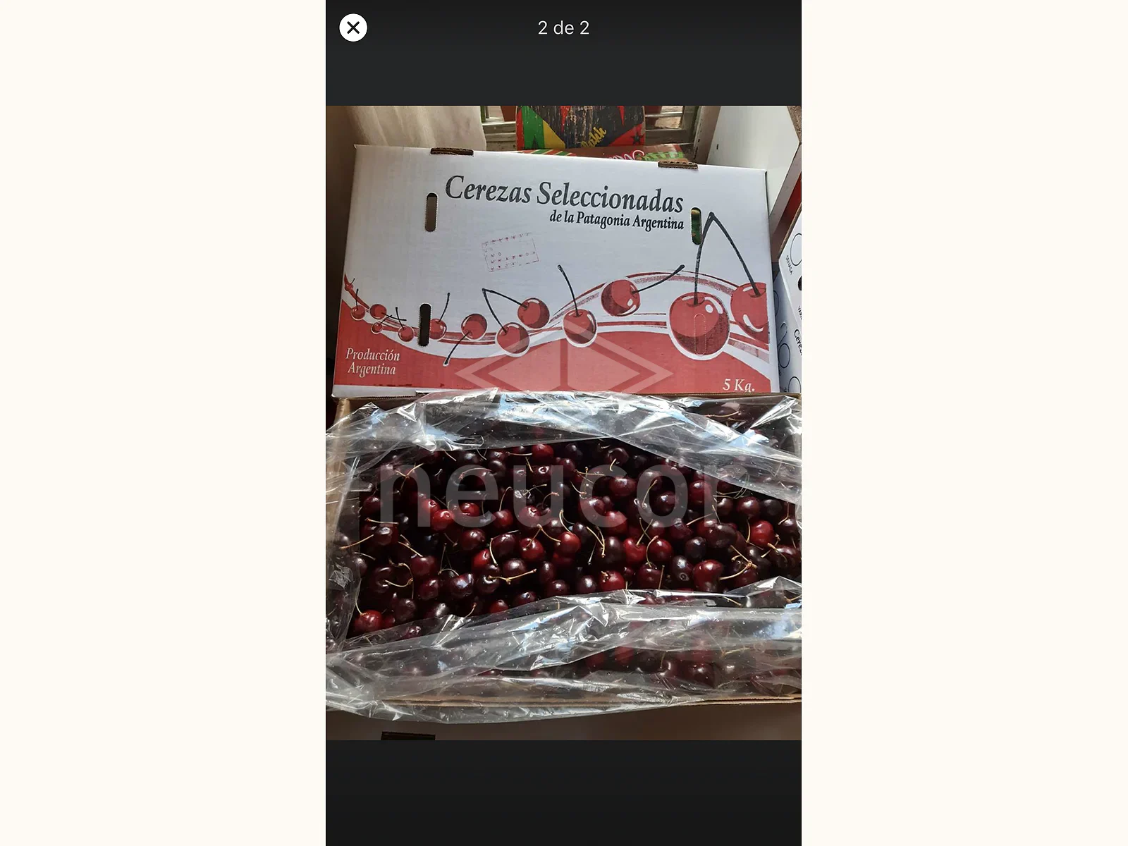 Fruticultura — ejemplo 5
